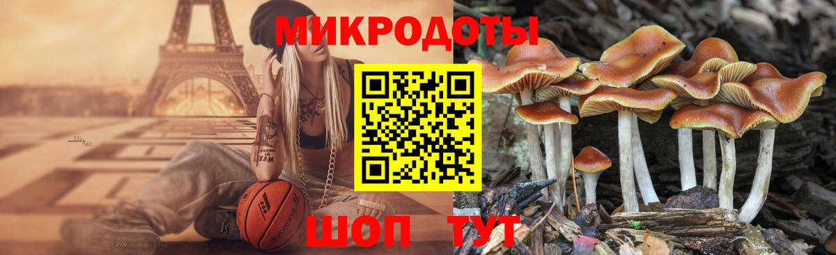 Псилоцибиновые грибы GOLDEN TEACHER  Галлюциногенные грибы мицелий  Вход с VPN  наркотики  Лыткарино 